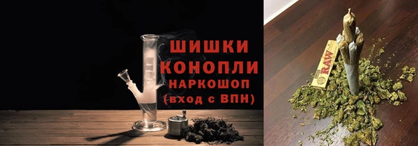 шишки Алексин
