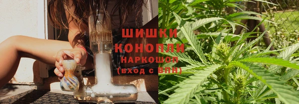 шишки Алексин