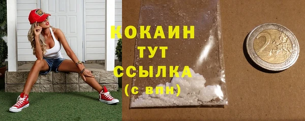 шишки Алексин