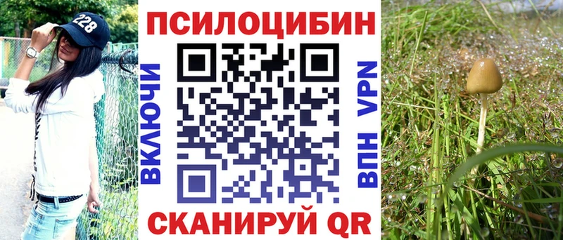 блэк спрут tor  Усолье-Сибирское  Галлюциногенные грибы прущие грибы 