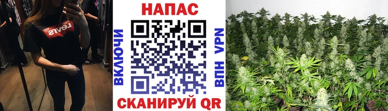 Бошки Шишки гибрид  Усолье-Сибирское 
